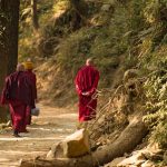 Things to do in Dharamshala